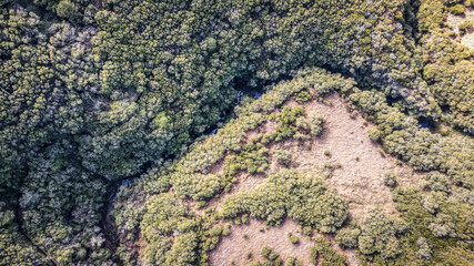 Landscape of Madeira island