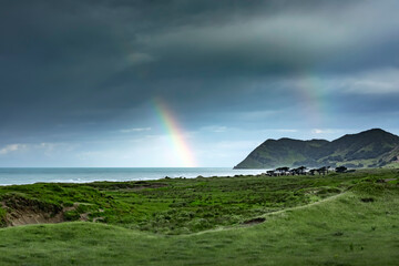 Double rainbow piercing dark storm clouds over green coastal terrain