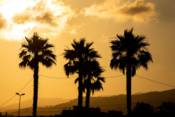 Atardecer