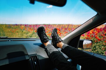 Person in car against colorful meadow