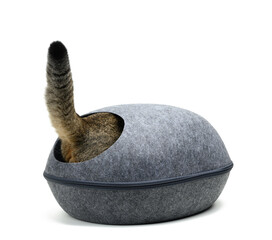 sticking out tail of a gray cat from an oval felt house on a white background