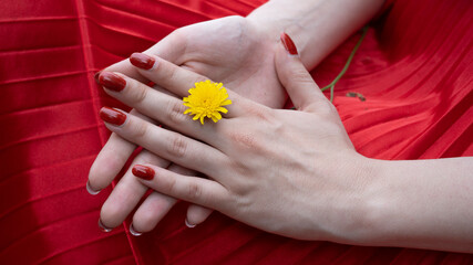 weibliche Hände mit einer Blume