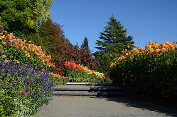 Weg eingerahmt durch Blummen