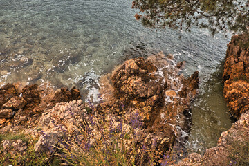 stones in salty water