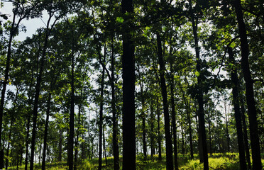 Becoming one with Arkansas Nature