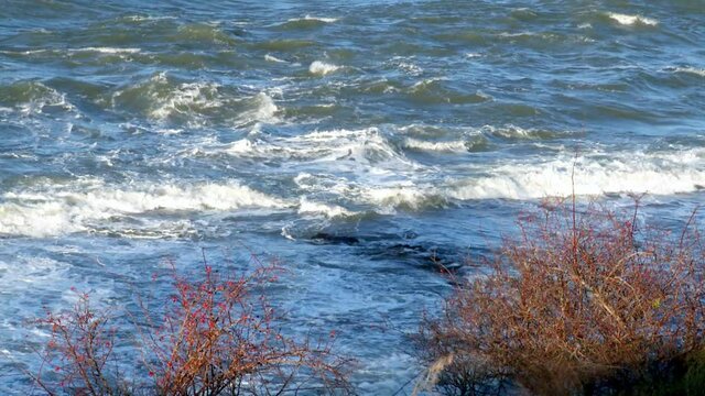 Hurricane Berit hitting the island of Gotland with big waves and strong winds