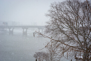 Snow covered bridge in the fog