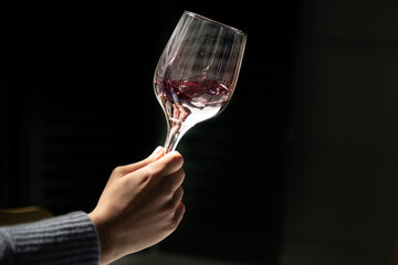 Wine lover