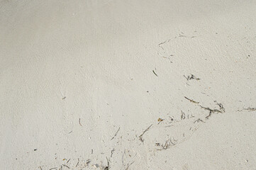 Wet sand by the beach