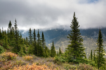 Vibrant colors of the valley, clouds touching the mountains and the boreal forest, Gaspesie,...