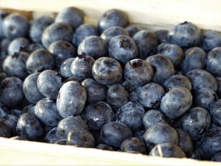 Blaue Heidelbeeren / Blaubeeren in Schale