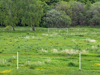 an abandoned soccer pitch with goalposts on a field overgrown with long grass and wildflowers...