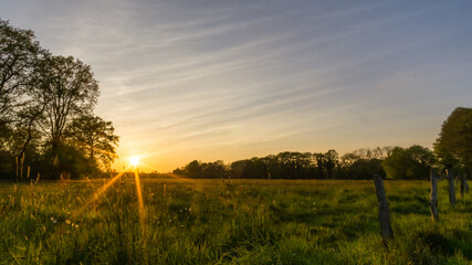 Fototapeta na wymiar Green meadow surrounded by trees at sunset in summer, Munsterland, Germany