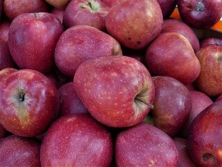 Rote Äpfel / Apfel auf einem Haufen