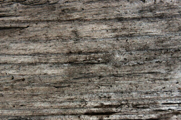 Wooden board, textural background. Old wooden texture