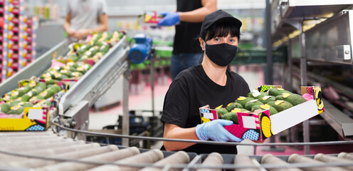 Young positive woman in mask working with crates of fresh avocado at factory, workers on background