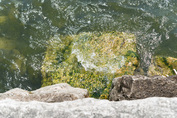 moss covered boulder at the edge of a lake