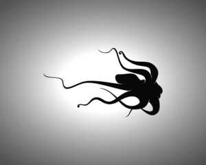 Octopus Silhouette. Isolated Vector Animal Template for Logo Company, Icon, Symbol etc