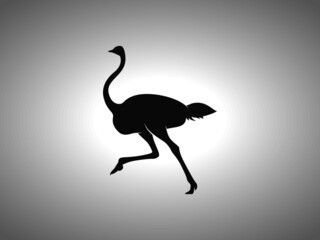 Ostrich Silhouette. Isolated Vector Swordfish Animal Template for Logo Company, Icon, Symbol etc