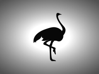 Ostrich Silhouette. Isolated Vector Swordfish Animal Template for Logo Company, Icon, Symbol etc