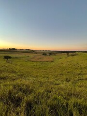 Obraz premium sunset over the field
