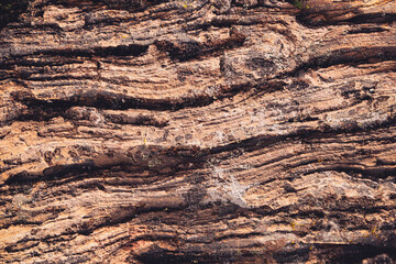 Close up detail of volcanic lava rock basalt found in the desert