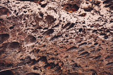 Close up detail of volcanic lava rock basalt found in the desert