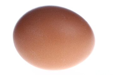 The egg is white background