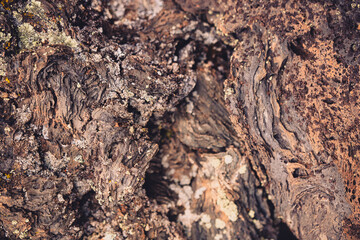 Close up detail of volcanic lava rock basalt found in the desert