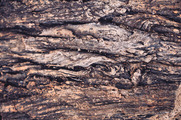 Close up detail of volcanic lava rock basalt found in the desert