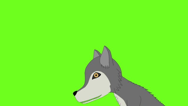 An animation of a gray wolf eating its prey against a green backgroun