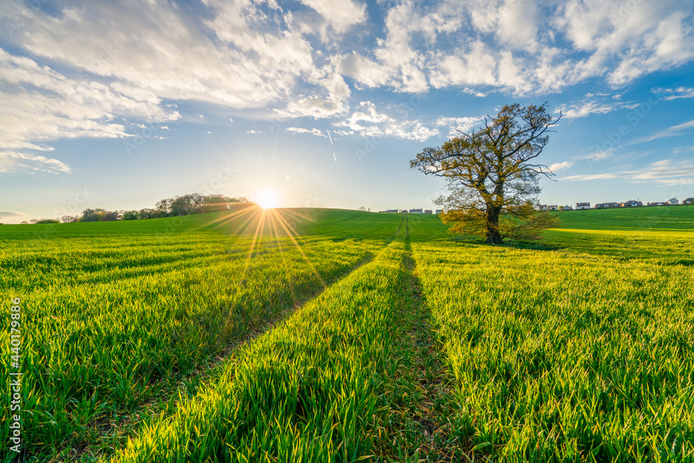 Sticker green field with sun flare. landscape of england in spring season