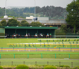 競馬　待避所内で周回し待機するサラブレッド