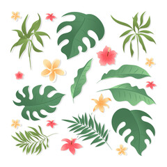 Tropical leaf and plant element set with simple flat style