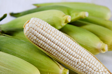 Corn on a fresh, delicious white background.