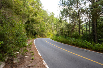 Fototapeta premium En curva a la naturaleza 