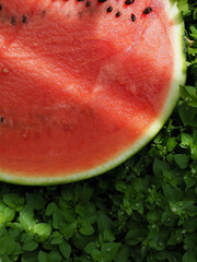 신선한 유기농 과일 수박, 음식 
