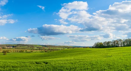 Plaid mouton avec motif Ciel bleu Green landscape panorama in spring season
