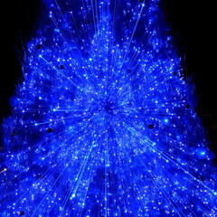 christmas illmination  クリスマスツリーの露光間ズーム撮影