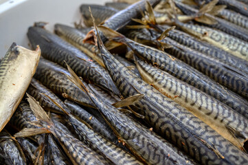 Lots of smoked mackerel carcasses. The fish lies in a heap in a white plastic box.