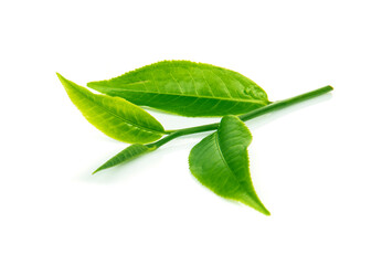 Green tea leaves isolated on white background