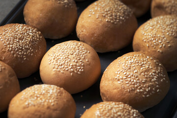 many baked sesame topping burger breads lay on oven tray waiting for cooking, shot with shallow focusing and tilted lens effect for background wallpaper.
