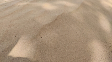 Fototapeta na wymiar Desert land, tree shadow on desert land, dust field close up view 