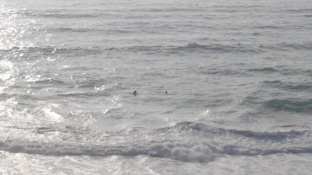 Two Surfers Floating in the Waves at Guincho Beach in Portugal