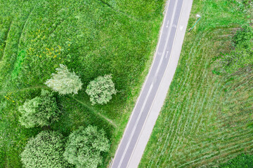 aerial top view of bicycle lane with walking path in summer countryside. drone point view.