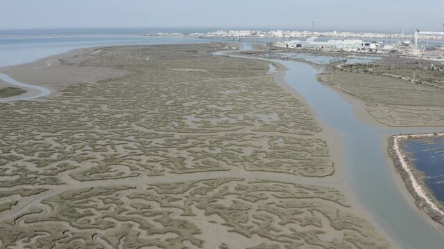 Aerial view over Shallow sea vegetation  coastline, Spain
Drone view from mediterranean sea spain, 2021

