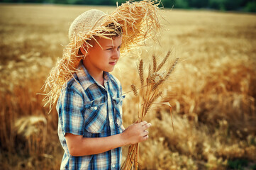 Portrait of a boy in a wheat field. The child wears a check shirt and a straw hat.