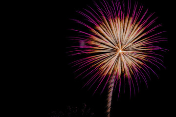 Fototapeta na wymiar Fireworks in night sky, to celebrate a holiday, seasonal or special event.