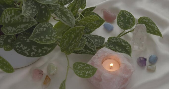 Rose Quarts candle with a variety of healing crystals and a plant