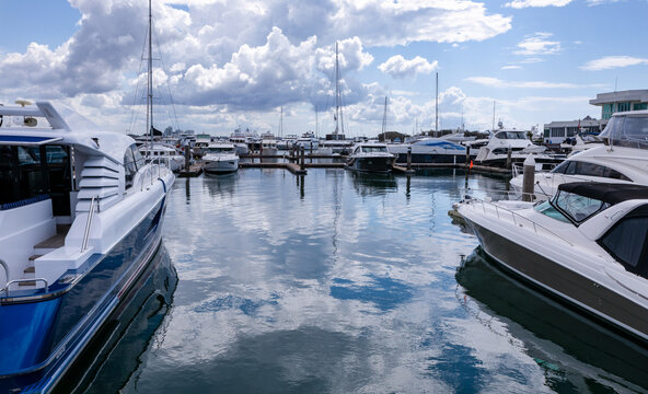 boats moored in marina